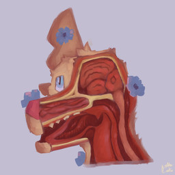 anthro blue_eyes blue_flower bone brain brown_body brown_fur cheek_tuft cross_section esophagus facial_tuft flower flower_(anatomy) fur gore gore_focus hair head_tuft looking_into_the_distance male nasal_tube neck_tuft organs plant solo teeth text throat tongue tuft koffeecake mythology koffeecake_(character) alien alien_dog ambiguous_species canid canine canis domestic_dog mammal mythological_canine mythological_creature 1:1 2026 absurd_res artist_name colored digital_drawing_(artwork) digital_media_(artwork) digital_painting_(artwork) english_text headshot_portrait hi_res painting_(artwork) portrait signature