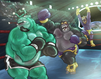angry anthro athletic beard biceps black_hair blood bodily_fluids boxing clothed clothing facial_hair fight fur green_body green_fur grey_body grey_fur grey_hair group hair male muscular nipples overweight pecs sport teeth topless captaingerbear ape gorilla haplorhine mammal monkey primate