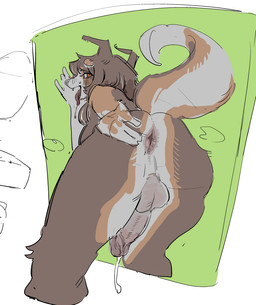 anthro anus balls bodily_fluids breasts breath brown_body brown_fur brown_hair butt fur genital_fluids genitals gynomorph hair hand_on_butt hand_on_own_butt humanoid_genitalia humanoid_penis intersex leaking_precum multicolored_body multicolored_fur nude_anthro nude_gynomorph orange_body orange_eyes orange_fur panting penis precum presenting presenting_hindquarters simple_background solo tail white_body white_fur harushogun canid canine canis domestic_dog mammal 2024 digital_drawing_(artwork) digital_media_(artwork)