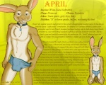 5:4 aloisyous_blue anthro balls_outline biped bulge calendar chest_tuft clothed clothing collar crossdressing detailed_bulge english_text femboy fur genital_outline hare harem_boy kneeling lagomorph leporid looking_at_viewer male mammal skimpy slave solo story teeth text tuft underwear