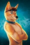 anthro black_nose blue_eyes brown_hair clothed clothing collar collar_only crossed_arms eyewear fur hair male navel nude orange_body orange_fur simple_background smile solo standing sunglasses goldendruid canid canine canis coyote mammal 2018 digital_media_(artwork)