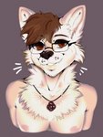 anthro brown_eyes brown_hair eyewear fluffy fur glasses hair jewelry looking_at_viewer male necklace nipples scruffy solo tan_body tan_fur mamaowl sabbyth canid canine canis mammal wolf absurd_res bust_portrait hi_res portrait