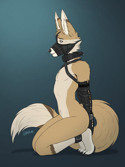 anthro arched_back armbinder bdsm binder_(restraint) blue_background bondage bondage_gear bound brown_body brown_fur collar cuffed_ankles cuffed_wrists dipstick_tail featureless_chest fluffy fluffy_tail fur gradient_background hands_behind_back kneeling leg_markings male male_anthro markings muzzle_(object) muzzled nude_anthro nude_male restrained restrained_arms restraints side_view simple_background slim_anthro slim_male small_waist socks_(marking) solo submissive submissive_anthro submissive_male tail tail_markings tan_body tan_fur training junkieboi canid canine fennec_fox fox mammal true_fox hi_res