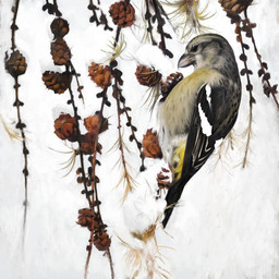 beak black_body black_eyes black_feathers feathers feral grey_beak grey_body grey_feathers markings plant snow solo white_markings yellow_markings renum63 two-barred_crossbill 2014 artrage_(artwork) digital_media_(artwork)
