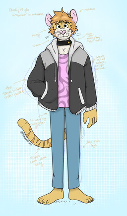 5_fingers anthro barefoot bottomwear clothed clothing collar denim denim_bottomwear denim_clothing description feet fingers fur jacket jeans male pants pink_nose shirt simple_background striped_body striped_fur stripes submissive tail tan_body tan_fur topwear whisker_spots white_body white_fur p_rindustries chuck_(p_rindustries) domestic_cat felid feline felis mammal guide_lines hi_res model_sheet signature