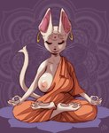 3_toes 5_fingers anthro areola asian_clothing big_breasts biped breasts chinese_clothing claws clothing crossed_legs crosslegged_pose ear_piercing east_asian_clothing eyes_closed feet female fingers hairless huge_breasts jiasha_robe lotus_pose meditation monk nipples one_breast_out open_mouth orange_clothing pawpads piercing robe sitting solo toes whiskers melonleaf domestic_cat felid feline felis hairless_cat mammal sphynx_(cat)