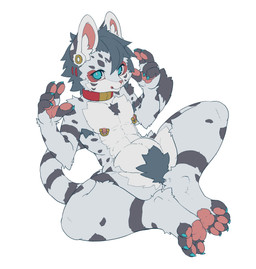 4_toes 5_fingers abs anthro black_markings blue_body blue_claws blue_eyes blue_fur blue_hair claws collar collar_only feet fingers fur hair kemono looking_at_viewer male markings nipple_piercing nipple_ring nipples nude nude_anthro nude_male pawpads piercing pink_pawpads red_collar ring_piercing simple_background sitting sitting_on_ground slim solo toes white_background white_body white_fur aruuraaru felid mammal pantherine snow_leopard absurd_res hi_res