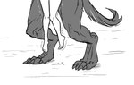 anthro bodily_fluids claws cum cum_on_ground dangling_doggystyle dangling_legs digitigrade doggystyle duo faceless_character faceless_male feet female foot_focus from_behind_position genital_fluids held_up human_on_anthro interspecies larger_male leg_focus male male/female muscular muscular_anthro muscular_male obscured_penetration offscreen_sex sex shaking size_difference smaller_female suspended_via_penetration toe_claws trembling spicymancer mythology eclair_(spicymancer) canid canine canis human mammal mythological_canine mythological_creature were werecanid werecanine werewolf wolf monochrome