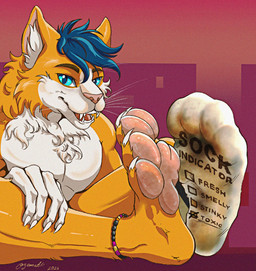anklet anthro barefoot blue_eyes blue_hair bodily_fluids claws clothing dirt dirty dirty_clothing dirty_feet dirty_socks featureless_chest feet finger_claws foot_fetish footwear footwear_only fur glistening glistening_pawpads grime hair hindpaw jewelry looking_at_viewer male male_anthro mostly_nude multicolored_body multicolored_fur musk musky_feet orange_body orange_fur pawpads paws pink_pawpads purple_background red_background simple_background sitting sitting_on_another smelly smelly_feet sock_fetish socks socks_only solo sweat sweaty_feet toe_claws whiskers white_body white_fur ozomatli niki_(nikithecat) domestic_cat felid feline felis mammal hi_res