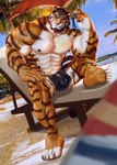 abs anthro barazoku barefoot beach beach_chair beach_umbrella beard biceps big_bulge big_muscles bulge chair claws clothed clothing countershading day detailed_background detailed_bulge dutch_angle eyebrows eyewear facial_hair feet fur furniture genital_outline hair holding_eyewear holding_object holding_sunglasses huge_bulge huge_muscles male muscular muscular_anthro muscular_male navel nipples obliques outside palm_tree parasol pecs penis_outline plant sand seaside sitting sky smile smirk soles solo speedo sunglasses swimwear tattoo teeth topless topless_anthro topless_male tree tuft water marius_tygo shadow_lyons felid mammal pantherine tiger 2022 absurd_res hi_res