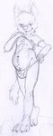 anthro arm_tuft belly_tuft bulge cheek_tuft chest_tuft clothed clothing clothing_lift elbow_tuft facial_tuft front_view male narrowed_eyes panties shirt shirt_lift simple_background slightly_chubby slightly_chubby_anthro slightly_chubby_male smile solo standing tail topwear tuft underwear oselotti 2013 absurd_res full-length_portrait hi_res monochrome portrait sketch