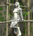 anthro biped breasts female fur leucistic navel nipples nude sitting solo littlefisky ariadna felid mammal pantherine tiger 3d_(artwork) digital_media_(artwork) hi_res