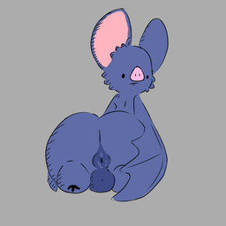 anthro anus balls big_butt big_ears blue_body butt cheek_tuft cute_fangs facial_tuft fangs flat_nose genitals glistening glistening_anus grey_background huge_butt looking_at_viewer looking_back male membrane_(anatomy) membranous_wings navy_body pink_inner_ear pink_nose simple_background snaggle_tooth teeth thick_thighs tuft wings unknown_artist natural_habitat_shorts batrick_(natural_habitok) bat mammal 1:1 hi_res