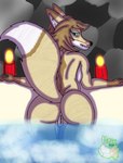 anthro bath candle female genitals nude pussy rear_view remake solo spa mitsuthesune hyperion canid canine canis fox hybrid mammal wolf hi_res