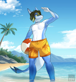 anthro ball beach big_ears biped bottomwear clothing detailed_background male male_anthro palm_tree pants partially_submerged plant sand shorts solo standing_in_water swimming_trunks swimwear tail tree water wet yellow_eyes conditional_dnp warest aquatic fish shark absurd_res hi_res