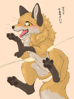 3_toes 4_toes ambiguous_gender black_ears black_nose black_pawpads blush bodily_fluids brown_body brown_fur cheek_tuft claws countershade_torso countershading digitigrade dipstick_tail facial_tuft fangs featureless_crotch feet feral fluffy fluffy_tail fur gloves_(marking) inner_ear_fluff leg_markings markings multicolored_body multicolored_fur multicolored_tail neck_tuft open_mouth orange_body orange_eyes orange_fur pawpads paws pink_tongue quadruped sharp_teeth simple_background snout socks_(marking) solo sweat sweatdrop tail tail_markings tan_background tan_body tan_fur teeth text tickling toe_claws toes tongue tongue_out tuft whiskers white_body white_claws white_fur yellow_body yellow_eyes yellow_fur fusau canid canine fox mammal 2024 3:4 digital_media_(artwork) hi_res japanese_text translated