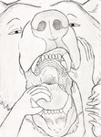 anthro bodily_fluids claws drooling duo feral hand_on_mouth hand_on_tongue larger_feral larger_male licking male male/male mouth_play mouth_shot on_tongue open_mouth saliva size_difference smaller_human smaller_male teeth throat tongue tongue_out hgythshs bear human mammal hi_res sketch