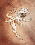 amber_eyes black_sclera chest_tuft feet female fur hair karol_pawlinski lemur looking_at_viewer mammal nude prehensile_feet primate running sifaka silky_sifaka sketch solo strepsirrhine tail toes tuft white_body white_fur white_hair