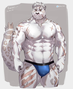 abs anthro areola arm_scar biped blue_clothing blue_underwear body_hair brown_eyes bulge chest_hair chest_scar clothed clothing detailed_bulge eye_scar facial_scar fur genital_outline leg_scar male markings muscular muscular_anthro muscular_male nipples pecs penis_outline scar solo spots spotted_body spotted_fur topless underwear vein white_body white_fur taki_kaze felid leopard mammal pantherine 2021 dated