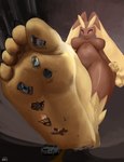 5_toes aircraft airplane anthro barefoot breasts brown_body car claws crushed_vehicle feet female flattened foot_fetish foot_focus foot_play highway humanoid_feet macro nails paper_flattened paws plantigrade red_eyes soles solo stuck_to_foot toes truck_(vehicle) vehicle solutionwcs nintendo pokemon generation_4_pokemon lagomorph lopunny mammal pokemon_(species) hi_res