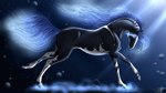 ambiguous_gender black_body blue_eyes blue_mane blue_tail feral mane mouth_closed side_view solo tail white_body scarlanya equid equine horse mammal signature female_(lore)