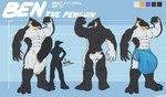 3_toes abs anthro ball_tuft balls beak biceps big_balls big_bulge big_penis black_balls black_glans bulge butt claws clothed clothing erection feathers feet female genitals glans huge_balls huge_bulge huge_penis humanoid_genitalia humanoid_penis hyper hyper_balls hyper_bulge hyper_genitalia hyper_penis looking_at_viewer male muscular muscular_anthro muscular_male nude nude_anthro nude_male paws pecs penis simple_background solo standing tail text toes tuft white_balls corrsk ben_the_penguin avian bird penguin digital_media_(artwork) english_text hi_res model_sheet