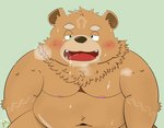 anthro belly blush bodily_fluids brown_body brown_fur first_person_view from_front_position fur male navel nipples nude on_bottom on_top overweight overweight_male solo sweat tattoo raio_owo crave_saga gabu_(crave_saga) bear mammal