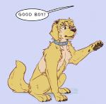 collar dialogue digitigrade feet feral fur good_boy hair hindpaw human_to_feral pawpads paws solo species_transformation text tongue tongue_out transformation whiskers yellow_body yellow_fur lakehounds canid canine canis domestic_dog human mammal english_text