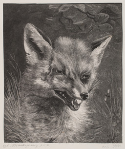 ambiguous_feral ambiguous_gender duo fangs feral flying fur grass inner_ear_fluff insect_wings plant simple_background solo_focus teeth tuft whiskers wings hans_peter_hansen arthropod canid canine fox insect mammal 1878 19th_century absurd_res ancient_art dated hi_res monochrome traditional_media_(artwork)