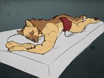 anthro boxer_briefs boxers_(clothing) brown_body brown_fur bulge clothed clothing fur male muscular muscular_anthro muscular_male red_clothing red_underwear sleeping solo topless underwear tsaiwolf stefan_(smove) canid canine canis domestic_dog german_shepherd herding_dog mammal pastoral_dog 4:3