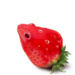 ambiguous_gender bubble displacement food fruit humor plant pun simple_background solo strawberry visual_pun what what_has_science_done white_background miremire amphibian elemental_creature flora_fauna food_creature frog hybrid living_fruit poison_dart_frog strawberry_poison-dart_frog 1:1 low_res