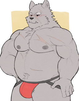 anthro barazoku belly black_nose bulge clothing cute_fangs fangs grey_body jockstrap kemono male moobs musclegut muscular navel nipples overweight overweight_male scar simple_background solo teeth underwear whitebeast20 elden_ring fromsoftware blaidd_(elden_ring) canid canine canis mammal wolf 2022 hi_res