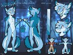 anthro fur plantigrade solo tail text scarfshepherd mythology koboki dragon furred_dragon furred_scalie mythological_creature mythological_scalie scalie absurd_res english_text hi_res model_sheet