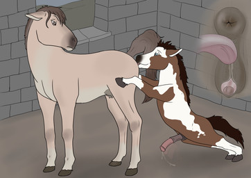 animal_genitalia animal_penis animal_vulva anus cunnilingus duo equine_anus equine_genitalia equine_penis equine_vulva female feral feral_on_feral genitals male oral penis puffy_anus sex teats udders vaginal vulva tiny_terrible equid equine horse mammal pony