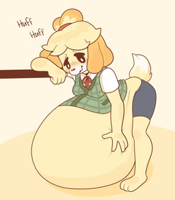 anthro belly big_belly blonde_hair blush bottomwear breasts breath clothing female fur hair huge_belly hyper hyper_belly panting shirt shorts smile solo sound_effects standing tail text topwear yellow_body yellow_fur pompuffy_(artist) animal_crossing nintendo isabelle_(animal_crossing) canid canine canis domestic_dog mammal shih_tzu toy_dog hi_res