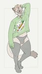 anthro bell bell_collar biped bulge clothed clothing collar crossdressing eyebrows hair male solo tail text text_on_clothing text_on_topwear topwear whiskers synthgoblin kc_(killedbycuriosity) domestic_cat felid feline felis mammal 4:7 absurd_res english_text hi_res