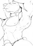 animal_genitalia balls bulge clothing collar genitals male muscular muscular_male penis pose sheath solo thong underwear iceman_(artist) canid canine canis domestic_dog mammal monochrome