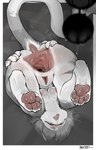 after_anal anal anal_beads anthro anus breasts butt female gaping gaping_anus genitals nude pawpads penetration presenting presenting_hindquarters pussy sex_toy simple_background solo stretched_anus stretching tail upside_down noctoc helia_peppercats domestic_cat felid feline felis mammal absurd_res digital_media_(artwork) greyscale hi_res monochrome