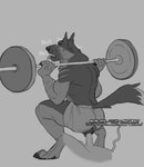 andromorph anthro barbell_squats breath canine_pussy_on_anthro canine_vulva duo exercise fur genitals humanoid_genitalia intersex male muscular muscular_intersex panting penetration profanity scar tail text vaginal vaginal_penetration weightlifting weights workout lddraws ludwig_(lddraws) canid canine canis domestic_dog german_shepherd herding_dog mammal pastoral_dog english_text hi_res trans_(lore) trans_man_(lore)