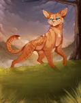 ambiguous_gender blue_eyes day detailed_background feral fur grass no_sclera orange_body orange_fur outside paws plant solo standing maplespyder maple_(maplespyder) domestic_cat felid feline felis mammal 2015 digital_media_(artwork)