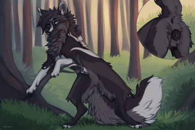 4_toes animal_genitalia animal_vulva anus black_anus black_body black_fur black_nipples black_nose black_vulva blue_eyes bodily_fluids branch butt canine_genitalia canine_vulva claws close-up cutaway day detailed_background digitigrade dripping eyebrows eyes_closed feet female female_feral feral fluffy fluffy_tail forest forest_background fur genital_fluids genitals grass grey_body grey_fur hindpaw inner_ear_fluff looking_at_viewer multi_nipple multicolored_body multicolored_fur nature nature_background nipples paws plant quadruped raised_tail smile smiling_at_viewer solo tail text toe_claws toes tree tuft vaginal_fluid_drip vaginal_fluids vulva whiskers white_body white_fur taka_(artist) canid canine canis fox mammal true_fox 2023 artist_name digital_media_(artwork) hi_res