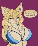 anthro big_breasts blonde_hair blue_eyes bra breasts brown_body brown_fur clothing dialogue drill_curls female fur hair huge_breasts long_hair looking_at_viewer mischevious pose red_background simple_background solo text underwear leksi_(artist) cheese_quesadilla domestic_cat felid feline felis mammal digital_media_(artwork) english_text hi_res pinup