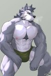 abs anthro areola bodily_fluids bulge clothed clothing fur green_clothing green_eyes green_underwear grey_body grey_fur male muscular muscular_anthro muscular_male nipples pecs pink_nipples simple_background solo sweat topless underwear underwear_only kamyuelo canid canine canis mammal wolf hi_res