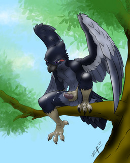 anthro balls beak black_beak black_body black_feathers bodily_fluids branch claws cum cum_squirting erection feathers feet genital_fluids genitals grey_body grey_feathers male masturbation nude outside penis plant purple_eyes sitting_on_tree solo spread_wings talons toe_claws toes tree watching_from_afar white_body white_feathers wings zephyrpanthur avian bird corvid corvus_(genus) oscine passerine raven hi_res