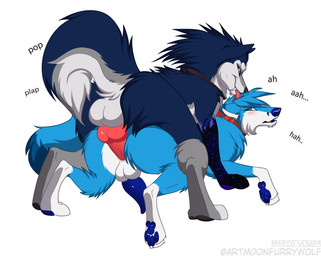 anal anal_penetration animal_genitalia animal_penis balls blue_body blue_fur blue_paws canine_genitalia canine_penis collar duo erection feral feral_on_feral feral_penetrated feral_penetrating feral_penetrating_feral from_behind_position fur genitals knot knotted_penis licking male male/male male_penetrated male_penetrating male_penetrating_male mounting penetration penile penile_penetration penis quadruped sex tongue tongue_out macrovenom albax bluefox_(theonlybluefox) canid canine fox mammal worg absurd_res hi_res