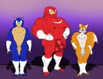 anthro balls big_muscles clothing foreskin full_frontal genitals glans gloves gloves_only group hand_on_hip handwear handwear_only male mostly_nude muscular muscular_butt muscular_calves muscular_male muscular_thighs nipples nude pecs penis penis_size_difference red_penis trio grape_shifter sega sonic_the_hedgehog_(series) knuckles_the_echidna miles_prower sonic_the_hedgehog canid canine echidna eulipotyphlan fox hedgehog mammal monotreme hi_res