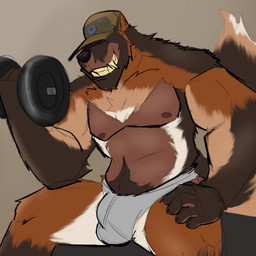 anthro beard belly_hair black_nose body_hair brown_body bulge chest_hair chest_tuft clothing detailed_bulge dumbbell exercise facial_hair hat headgear headwear humanoid_hands male musclegut muscular nipples pubes sitting solo tuft underwear weightlifting weights workout dippubear canid canine canis domestic_dog mammal 1:1 2022 hi_res