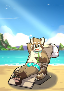 anthro beach blue_clothing blue_eyes blue_swimwear blue_underwear bottle bulge chair clothed clothing collar colored_seam_underwear container fur furniture holding_bottle holding_container holding_object lounge_chair male markings open_mouth sea solo speedo striped_markings stripes swimming_in_underwear swimwear tan_body tan_fur teeth_showing underwear water rac5700 jono mammal procyonid raccoon absurd_res hi_res