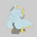 anthro anus areola back_muscles balls biceps big_balls big_breasts breasts butt genitals gynomorph intersex muscular muscular_anthro muscular_gynomorph muscular_intersex nipples non-mammal_breasts penis simple_background solo upai nelli_(knssd) avian bird 1:1 hi_res