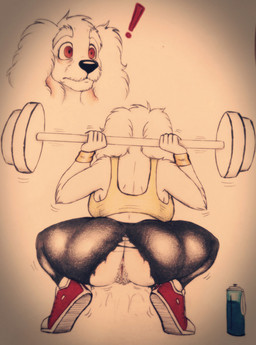 anthro anus barbell big_ears bottle bra butt clothed clothing container crouching exclamation_point exercise female genitals no_underwear panty_ripping pubes rear_view red_eyes solo sports_bra surprised tight_clothing underwear vulva wardrobe_malfunction water_bottle workout bredlaybagordh olannah full-length_portrait hi_res portrait traditional_media_(artwork)